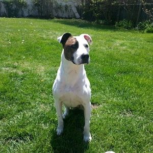 Meet your Posher, Alison